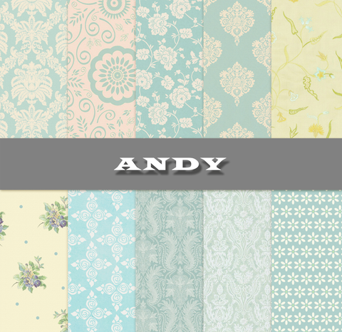 Andy