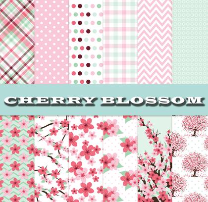 Cherry Blossoms