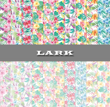 Lark