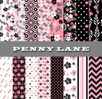 PennyLane - Infinity Moons & Co.