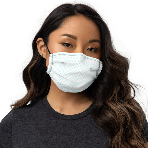Cape Town (11) - Premium face mask