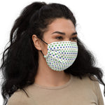 Cape Town (12) - Premium face mask