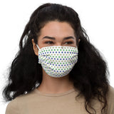 Cape Town (12) - Premium face mask