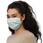 Cape Town (12) - Premium face mask